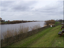 SE8302 : River Trent at Susworth by David Wright