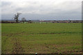 Farmland near Sileby