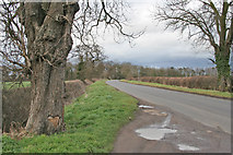 SK6214 : Humble Lane near Ratcliffe by Kate Jewell
