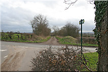 SK6114 : Blackberry Lane near Sileby by Kate Jewell