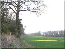 SY0192 : View near Farringdon House by Derek Harper