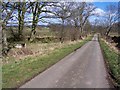 Road to Hutton Grange with curiosity on left