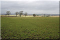 Countryside near Thorpe Satchville