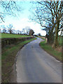 Lane between Yafforth and Danby Wiske