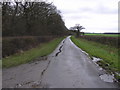 Eryholme Lane, Docking Slack Plantation