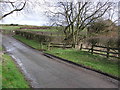 Ford : Dalton Beck  : Eryholme Lane