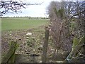 Small stream and sheep field.