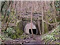 SO5817 : The Old Railway Tunnel under Coppett Hill by Stuart Wilding