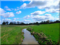 Chess Brook, near Henfield