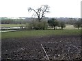 Test Valley, south of Longstock