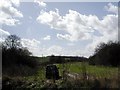 Track leading west from Hazel Down