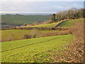 Place Wood from near Brownswell