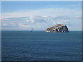 NT6087 : Bass Rock by Lisa Jarvis