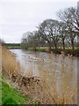 Looking upstream on the River Avon