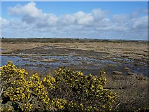 SZ3191 : Keyhaven Marshes by Footprints