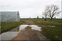 SK8719 : Farmland near Wymondham by Kate Jewell