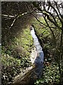 Ditch by Seasalter Lane