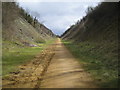 SP9922 : Dunstable: Dismantled railway and National Cycle Network Route 6 by Nigel Cox
