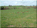 ST6261 : Farmland, Stanton Wick by Stuart Buchan