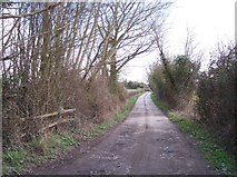 SO5543 : Veldo Lane, Withington Marsh by Bob Embleton