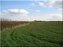 ST8353 : Wiltshire farmland by Phil Williams