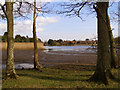 View towards Beaulieu from the north, New Forest