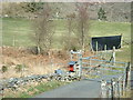 Farm gate at Tyddyn Rhyddyd