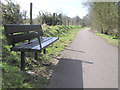 Riverside walk along the Camowen, Omagh