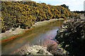 Carnon River at Bissoe