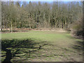 Picnic Area at Chawton Park Woods