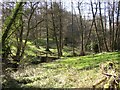 Footbridge in woodland garden, Tuesley, Busbridge