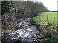 Stream at Pont Dic near to Brynsiencyn