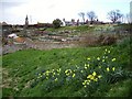 Allotments