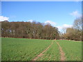 Farmland and Downham Grove