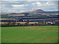 Fife Farmland