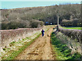 Bridleway, Old Quarrington