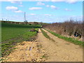 Farm road to Low Raisby, near Trimdon