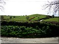 View from Hareston Cross