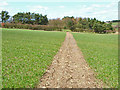 Bridleway to the north of Butterwick Moor Farm