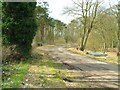 Driveway leading up towards Hartwood mental hospital