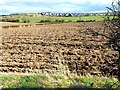 Ploughed field, Cookshold Lane, Sherburn