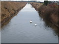 West fen drain