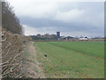 Wykham Park Farm