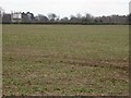 Looking back towards Ecton