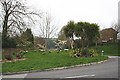 Ornamental Roadside Shrubs