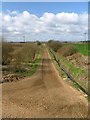 Gallop, Near Maunby