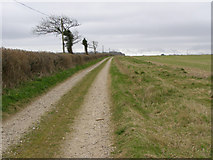 SY6491 : Bridleway track between Higher and Lower Skippet Farms by Jim Champion