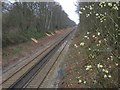 TQ5346 : Railway between Penshurst and Leigh Stations by Nikki Mahadevan