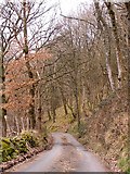 SN9664 : Country Lane nr Llanwrthwl by Stuart Wilding