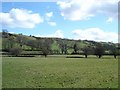 Green fields near Hendre Ddu